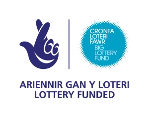 lottery bi-logo-blue-small-jpg